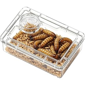 爬虫類・両生類用餌入れ・食器 - Amazon.co.jp